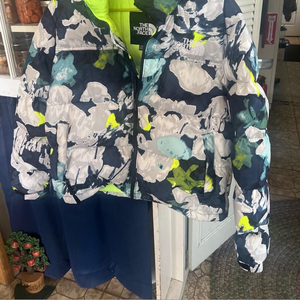 The North Face Blue and Green Puffer Jacket with Hood